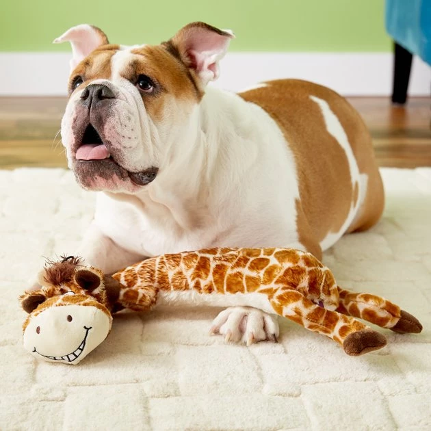 Multipet Dawdler Dudes Squeaky Plush Dog Toy 4 Multipet Dawdler Dudes Squeaky Plush Dog Toy - Image 4