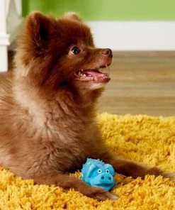 Multipet Latex Polka Dot Globlet Pig Squeaky Dog Toy, Color Varies -TropiClean || Pedigree || Multipet Sales 78724 PT8. SY630 V1506976551