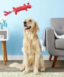 Multipet Loofa Launcher Squeaky Plush Dog Toy, Color Varies -TropiClean || Pedigree || Multipet Sales 78743 PT3. SY630 V1545173600