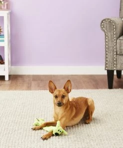 Multipet Loofa Light-Weight Squeaky Stuffing-Free Dog Toy, Color Varies 7 Multipet Loofa Light-Weight Squeaky Stuffing-Free Dog Toy, Color Varies -TropiClean || Pedigree || Multipet Sales 78745 PT2. SY630 V1545173612