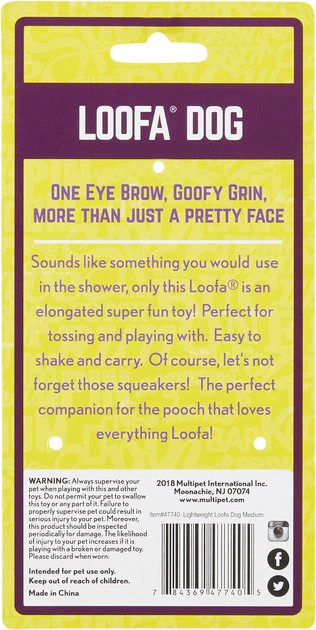 Multipet Loofa Light-Weight Squeaky Stuffing-Free Dog Toy, Color Varies 5 Multipet Loofa Light-Weight Squeaky Stuffing-Free Dog Toy, Color Varies - Image 5