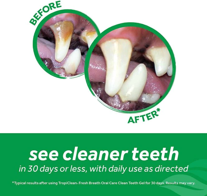 TropiClean Fresh Breath Oral Care Clean Teeth Puppy Dental Gel 4 TropiClean Fresh Breath Oral Care Clean Teeth Puppy Dental Gel - Image 4